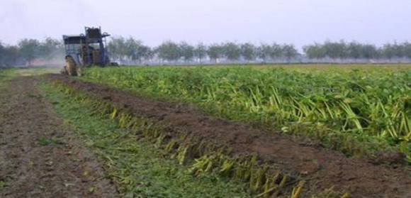 “关心群众生活，注意工作方法”仍是我们取得伟大抗疫斗争胜利的关键