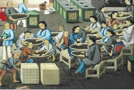  工业间谍四大案之一：茶叶案