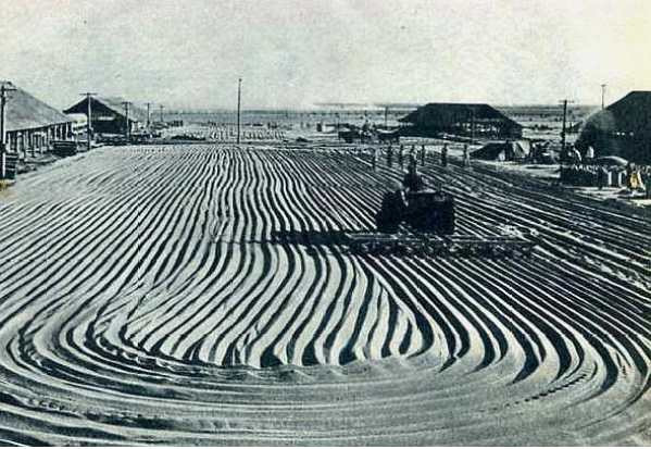 老照片:农业学大寨,旧貌换新颜,大寨精神美名扬