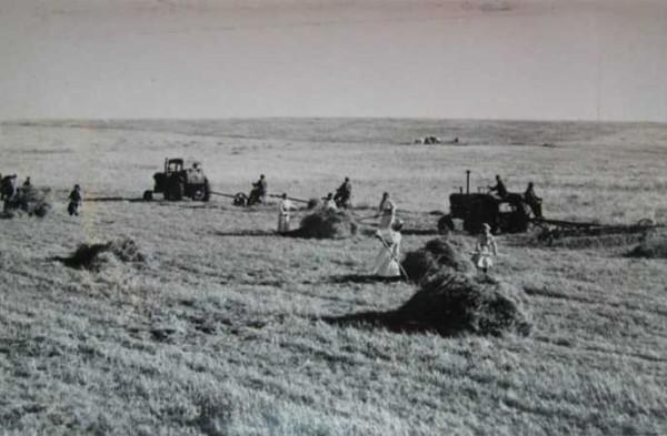 老照片：新中国70年代初期欣欣向荣的农村人民公社