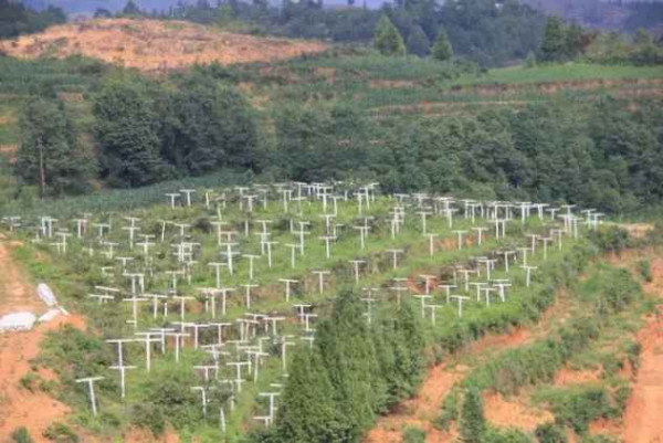 【全国各地学塘约】来自贵州毕节脱贫攻坚前线的消息