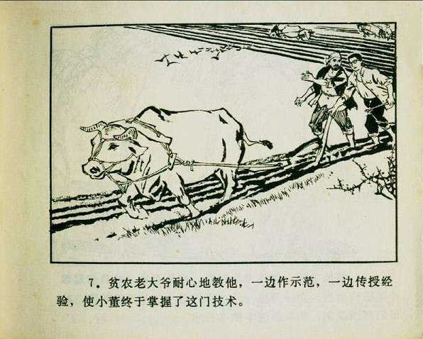 《广阔的天地》——“知识青年到农村去”