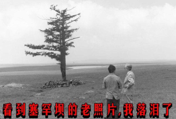 看到塞罕坝的老照片，我落泪了