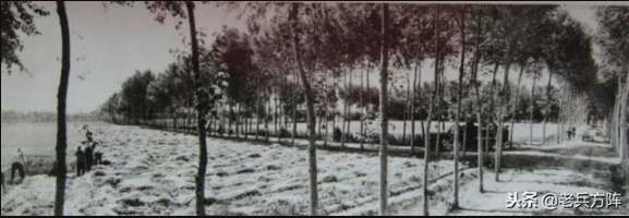 新中国70年代初期欣欣向荣的农村人民公社