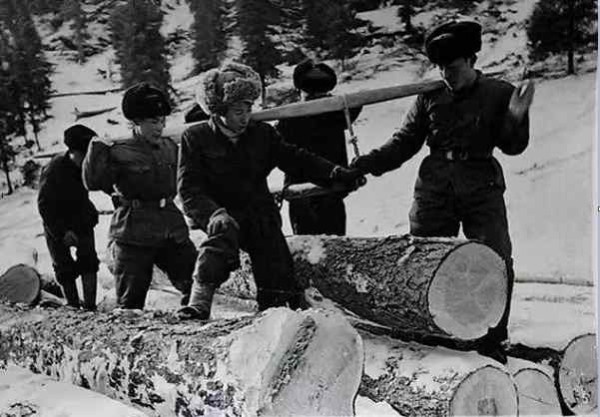 毛主席时代的军民鱼水情