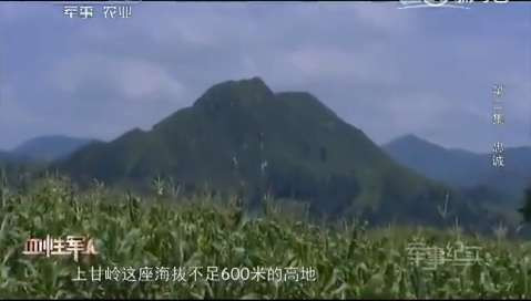 上甘岭381个弹孔的战旗,见证神秘的东方精神