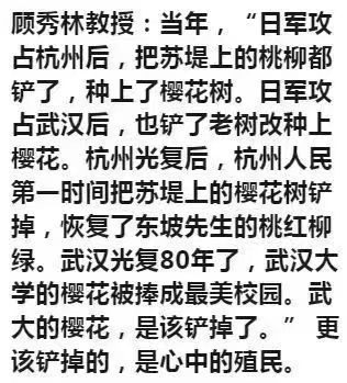 张宏良：小小樱花园，历史大趋势