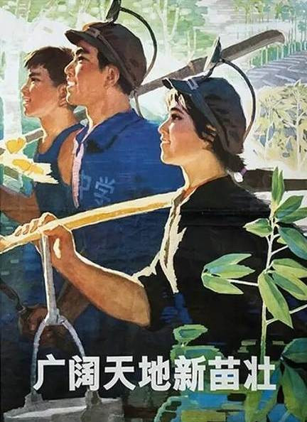怀旧70年代的宣传画(3)
