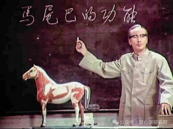 陈先义：从“马尾巴的功能”到“高压线下的麦子”