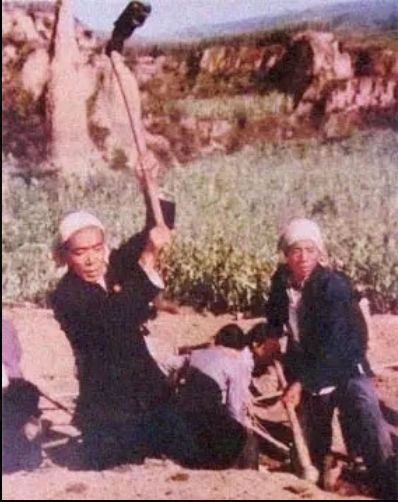 陈永贵成为副总理“之前”
