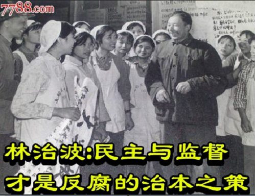 林治波：民主与监督才是反腐的治本之策
