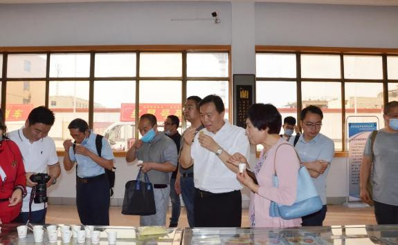 十多家省级以上媒体聚焦南街村