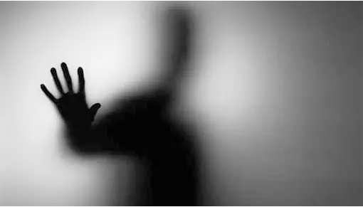 张宏良：中国左翼的灾难呼吁太微弱了！