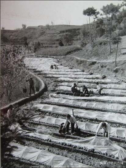 新中国70年代初期欣欣向荣的农村人民公社