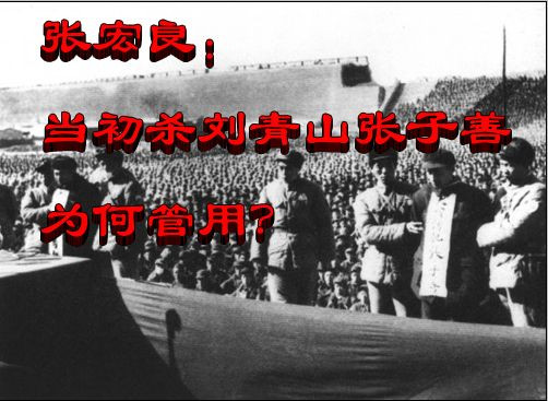张宏良：当初杀刘青山张子善为何管用？