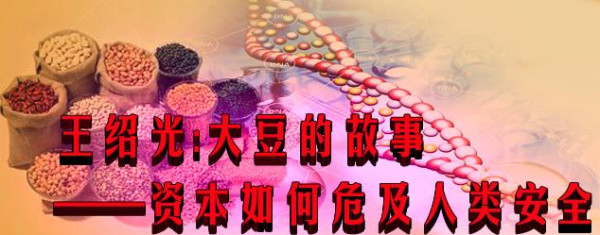 王绍光:大豆的故事——资本如何危及人类安全