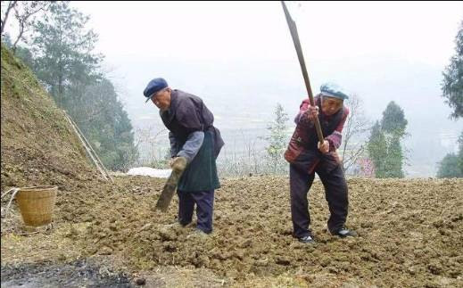 党国英研究员屁股坐歪了，脑袋也做歪了