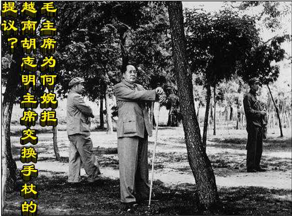 毛主席为何婉拒越南胡志明主席交换手杖的提议?