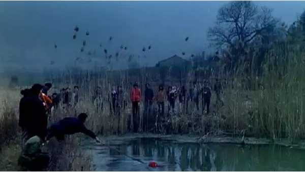 张宏良：中国人虎狼与猪羊的两面性