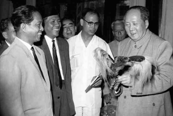 新中国工业革命与世界工业化回眸(八)