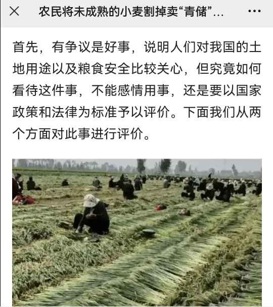 蒋高明 :青储小麦的经济账并不合算，其真实目的有待深挖