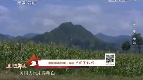 上甘岭381个弹孔的战旗,见证神秘的东方精神