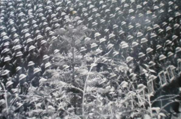 踏上援越抗美征途