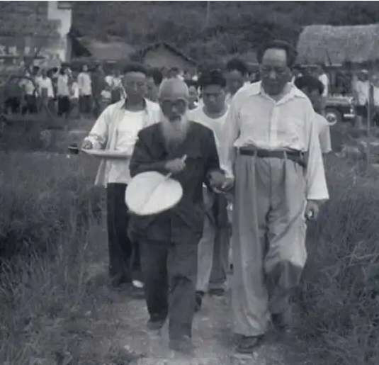 何新：论毛泽东