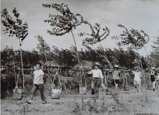 毛主席为何要办“五七”干校