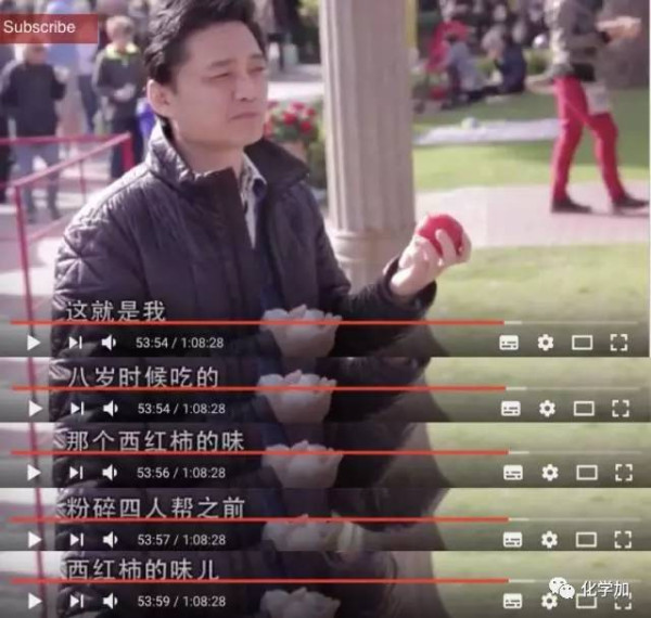 张宏良：中国的希望还是寄托在毛派共产党人的身上