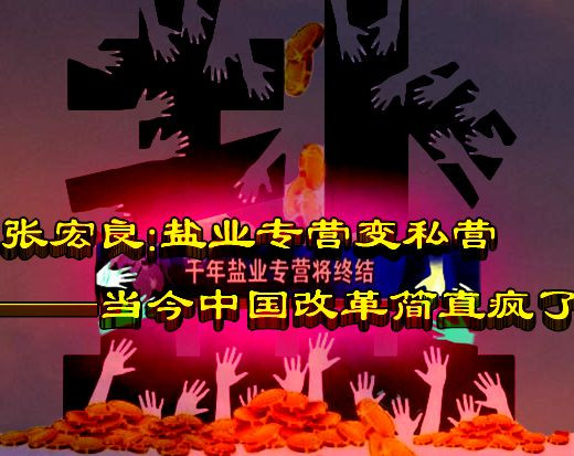 张宏良：盐业专营变私营——当今中国改革简直疯了