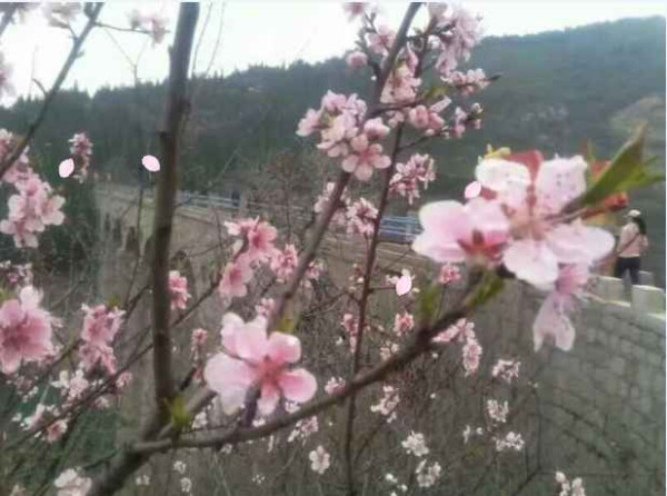 大寨----向全世界发出邀请