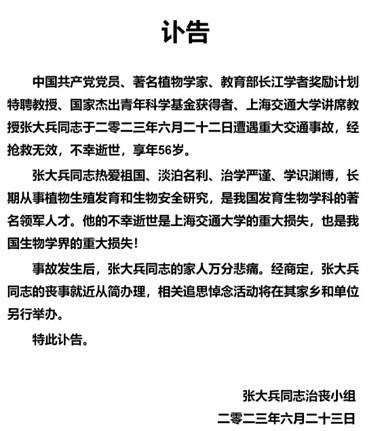 蹊跷车祸