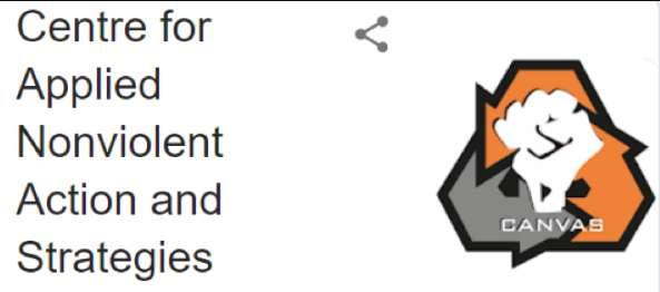 乱港势力大起底幕后黑手如何乱港?