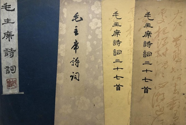 胡澄：致敬“司马南式”的苦难