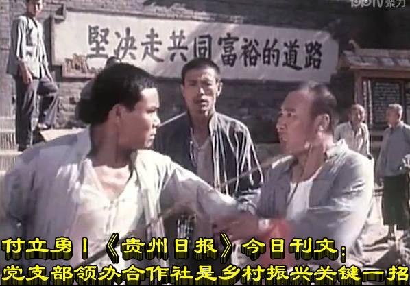 付立勇：《贵州日报》今日刊文：党支部领办合作社是乡村振兴关键一招
