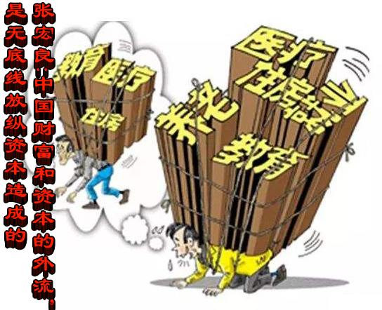 张宏良：中国财富和资本的外流，是无底线放纵资本造成的
