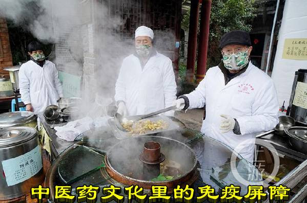 中医药文化里的免疫屏障