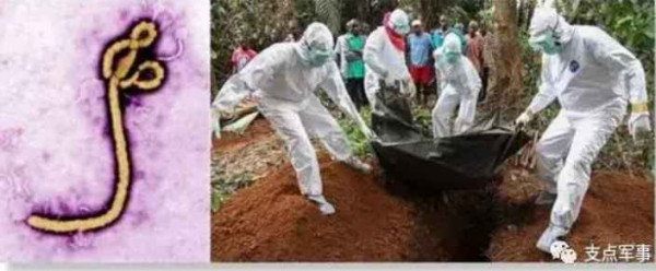 比731更邪恶，美国正秘密研制灭绝中俄的生物武器