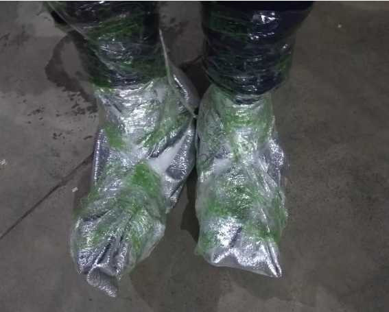 魏公仁:卧底仓库，实地拍摄，透视中国物流产业和物流工人