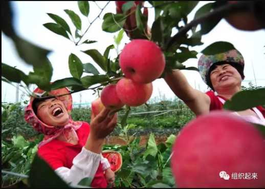 于涛：组织起来，发展壮大集体经济