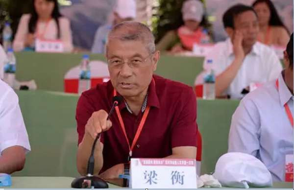刘伯行：重磅！梁衡污蔑贬损毛主席，性质已变，必须彻底批判