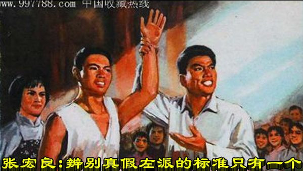 张宏良：辨别真假左派的标准只有一个