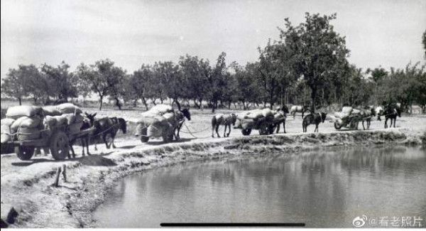 1950年代,农业合作化