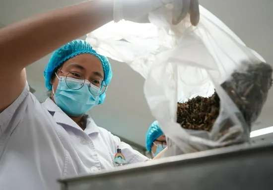 南京：中药汤剂助力抗疫