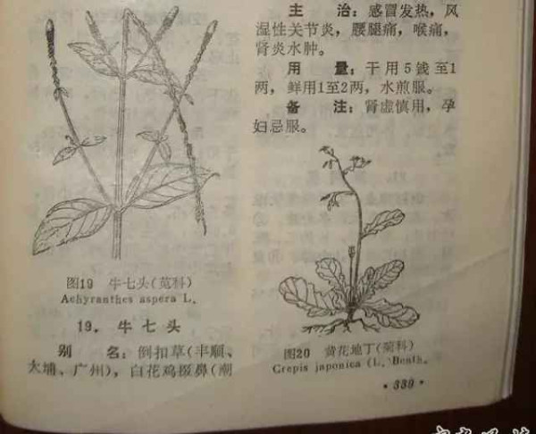 赤脚医生：悬壶济世的温暖记忆【1】