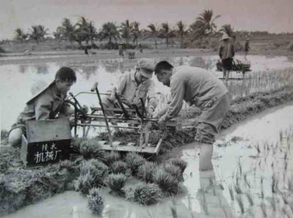 老照片：新中国70年代初期欣欣向荣的农村人民公社
