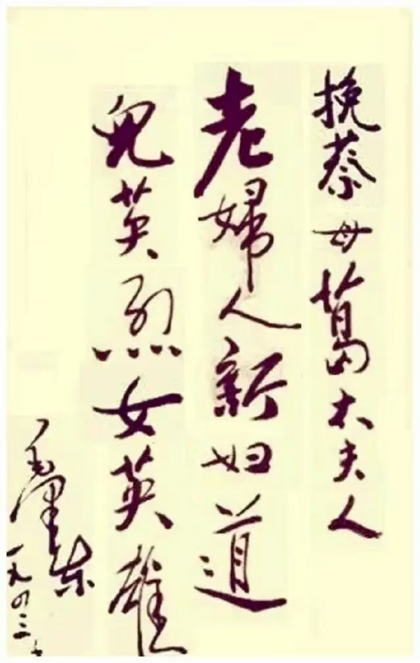 革命母亲葛健豪：致力妇女解放，培育出四位中央委员