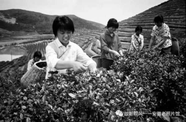 江浩丨独家影像:安徽70年代的“知青”岁月