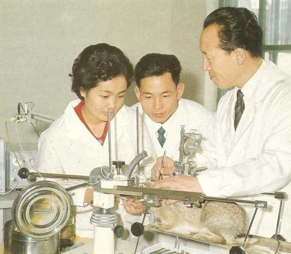 70年代朝鲜老照片